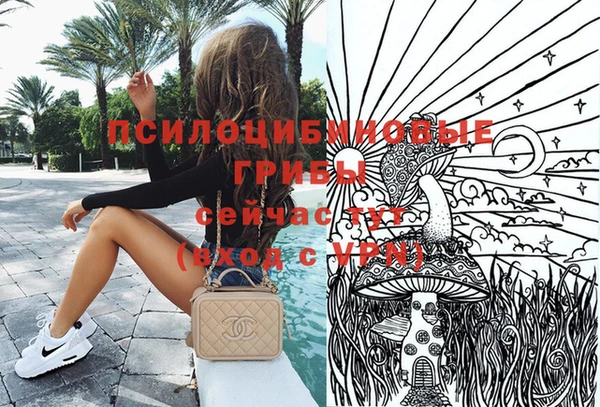 меф Алексин