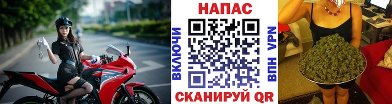 Канабис план  Далматово 
